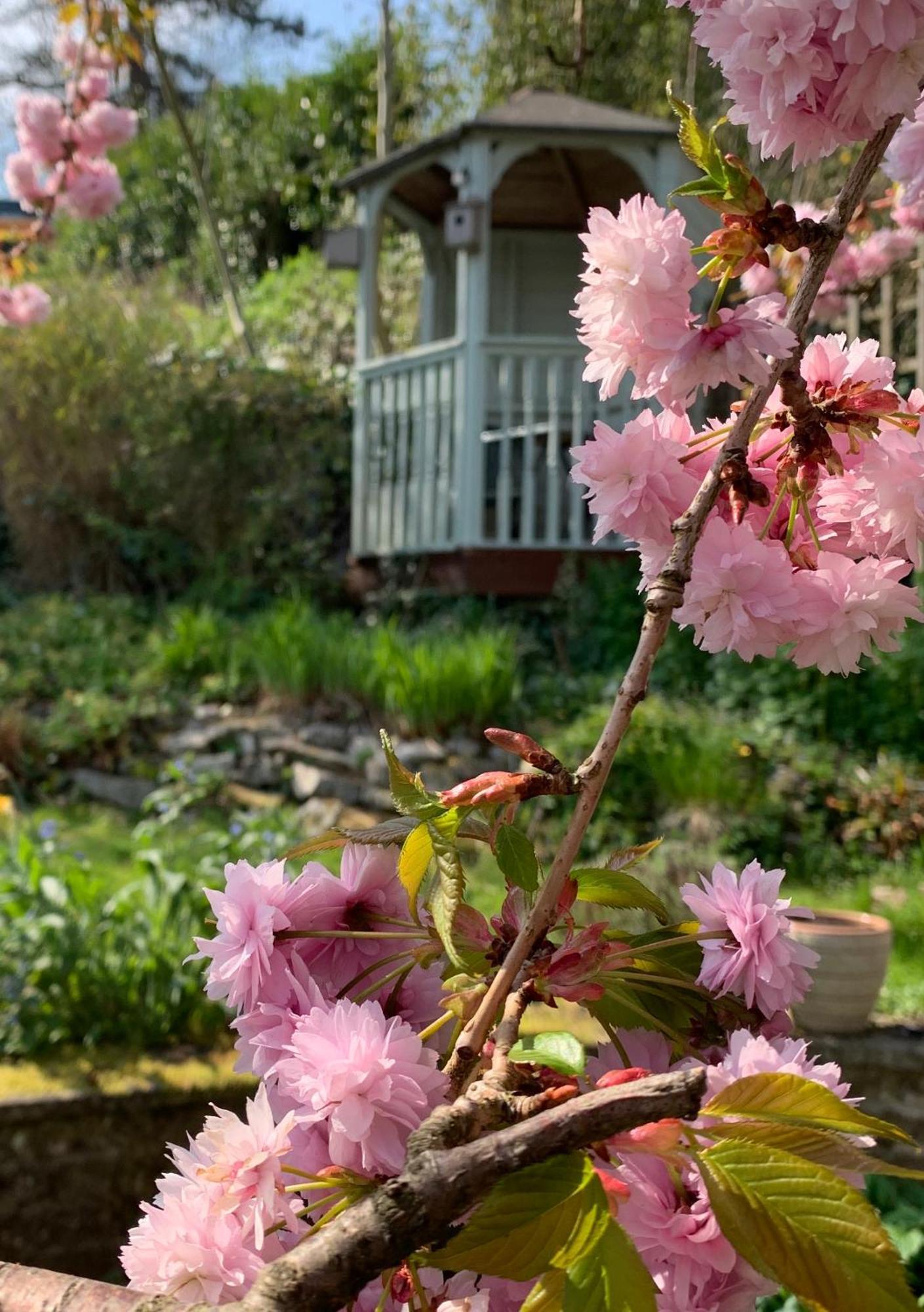 Ellen House Bed And Breakfast Матлок Екстериор снимка